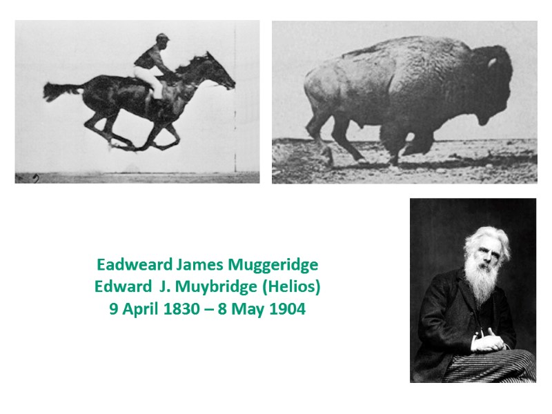 Eadweard James Muggeridge Edward  J. Muybridge (Helios)  9 April 1830 – 8